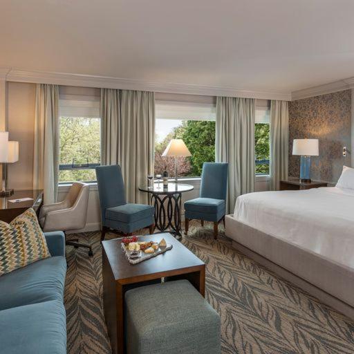 Executive Junior Suite,1404129476:JPEG